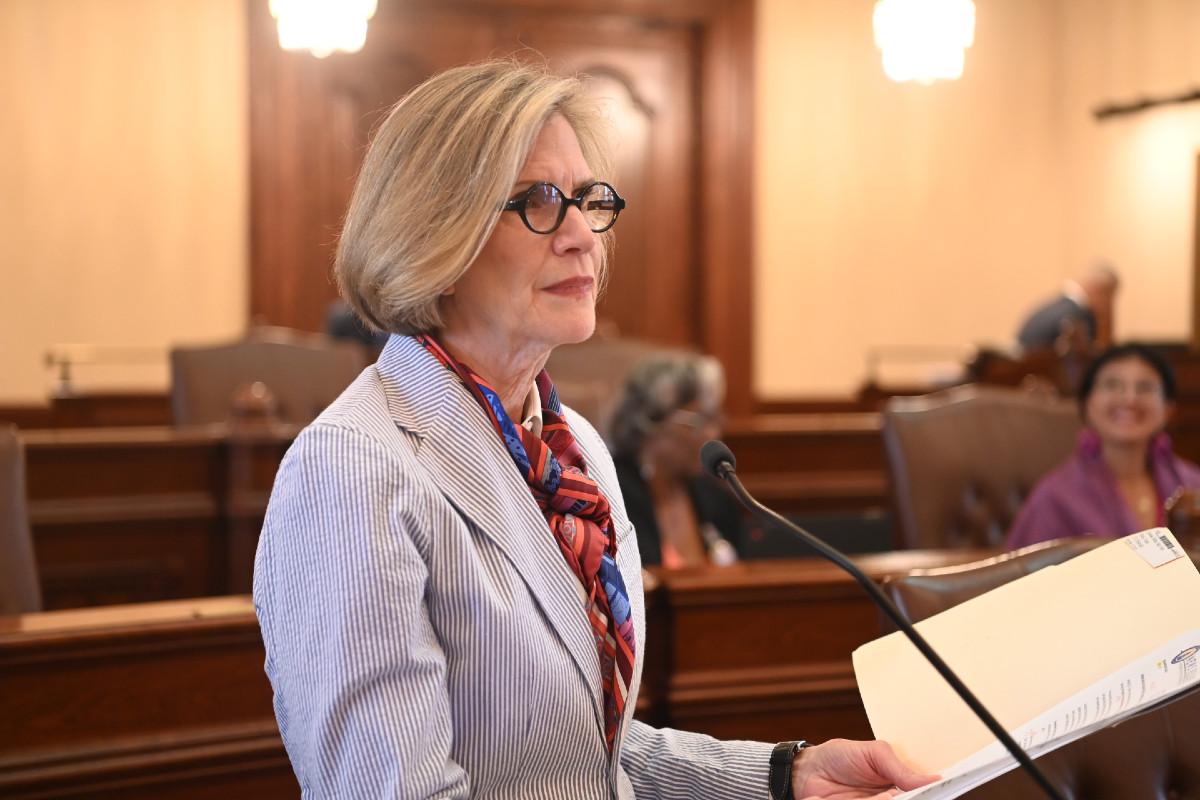 Senator Glowiak Hilton holds an open file folder while standing in front of a microphone in the Senate chamber.